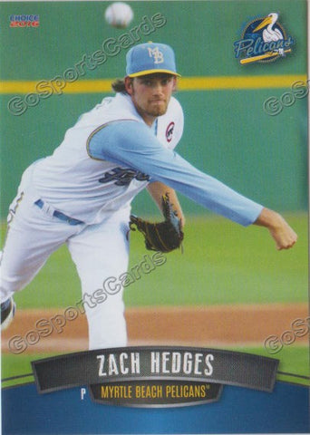 2016 Myrtle Beach Pelicans Zach Hedges