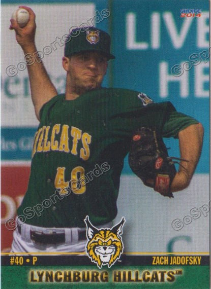 2014 Lynchburg HillCats Zach Jadofsky