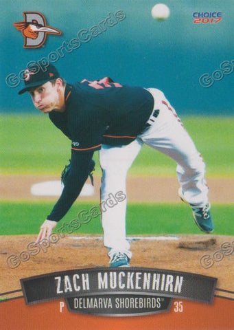 2017 Delmarva Shorebirds Zach Muckenhirn