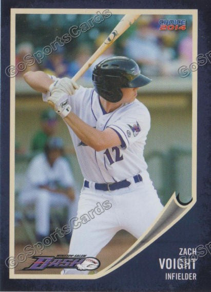 2014 Winston Salem Dash Zach Voight