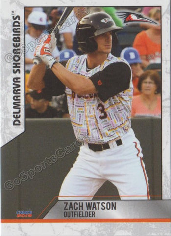 2019 Delmarva Shorebirds Update Zach Watson