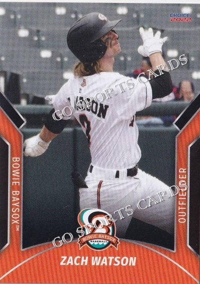 2022 Bowie Baysox Zach Watson