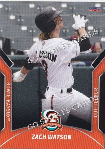 2022 Bowie Baysox Zach Watson
