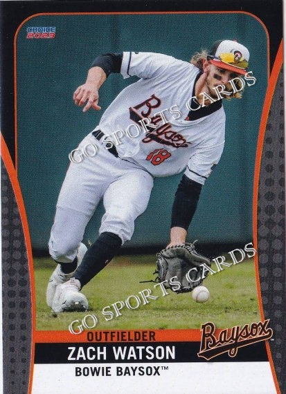 2023 Bowie Baysox Zach Watson