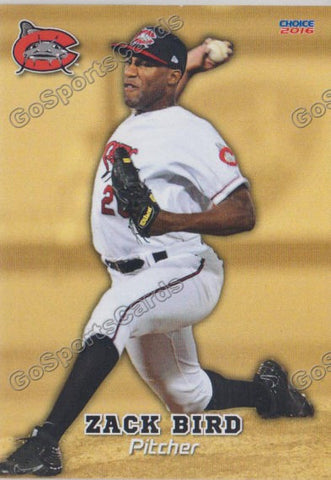 2016 Carolina MudCats Zack Bird